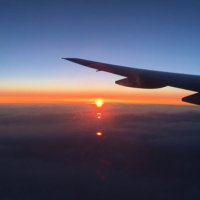 ハムと卵を買う、銀行に行く (@upjmvuul429lti) 's Twitter Profile Photo