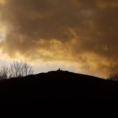 Pflegefachkraft in Ausbildung| Kaffeejunkie| Lieblingszitat: Immer wieder geht die Sonne auf.