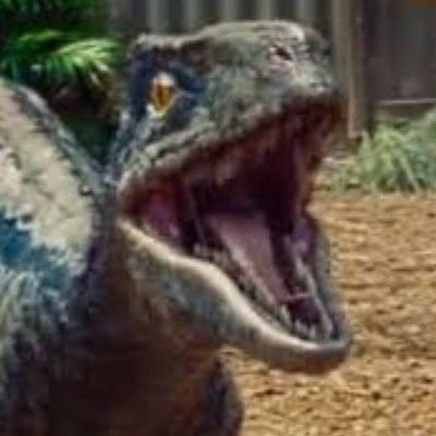 tlyAyoiJMMHBKji's profile picture. 