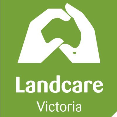 landcarevic Profile Picture