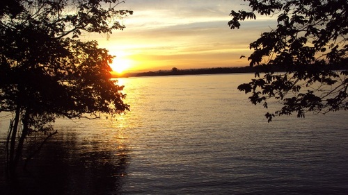 Vemprapesca's profile picture. Sou um adorador da arte da pesca e estou aqui para fornecer e receber informações sobre pesca portanto envie sua pergunta