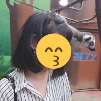 やよい (@yayoi_rep) 's Twitter Profile