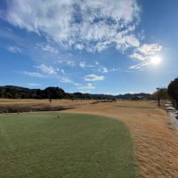 Little Bird (@little_bird_g) 's Twitter Profile Photo