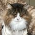 🔪 Anthony Purrkins ⚖️ (@wilburpodgeway) Twitter profile photo 🔪 Anthony Purrkins ⚖️ (@wilburpodgeway) Twitter profile photo