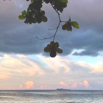 painwat89's profile picture.