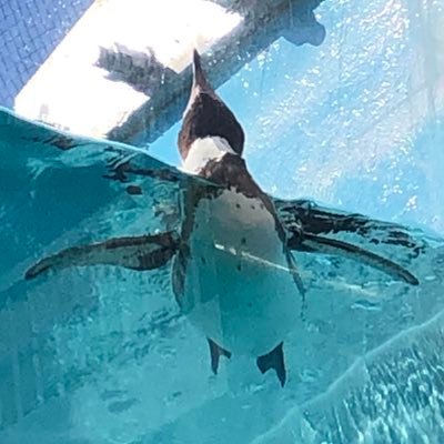 Suvivorafterstroke Strokesuvivor Twitter Suvivorafterstroke Strokesuvivor Twitter