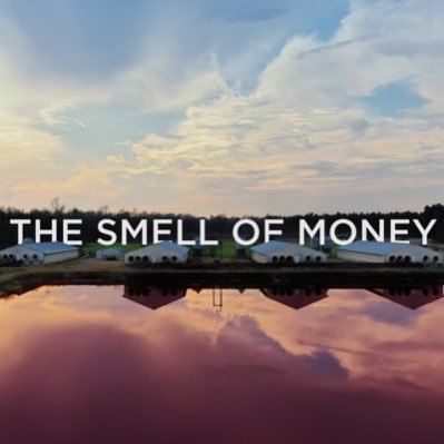 smellofmoneydoc Profile Picture