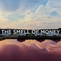 The Smell of Money (@smellofmoneydoc) 's Twitter Profile Photo