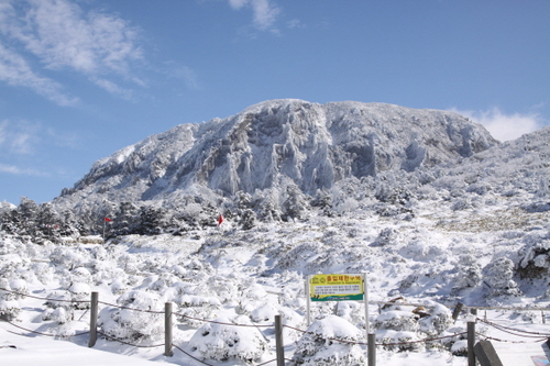 newsjeco's profile picture. 제주도의 아름다움을 사랑하는 제주환경일보 공식 트위터입니다.
제주환경에 대한 얘기를 서로 나누고 싶습니다.