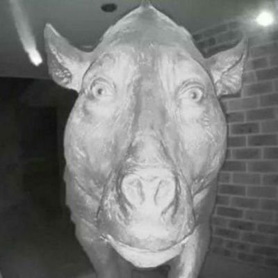 FotsalladALaBk's profile picture. 