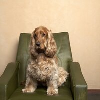 McGregor Casting (@mcgregorcasting) 's Twitter Profile