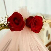 Fia (@alfiani66) 's Twitter Profile