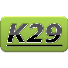 K29