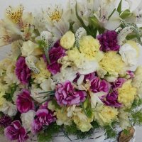 Berfin_aras (@berfinaras20) 's Twitter Profile Photo Berfin_aras (@berfinaras20) 's Twitter Profile Photo