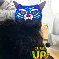 Alek P 🇵🇱🇪🇺 (@alekp13) 's Twitter Profile