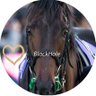 Sweet9Popo7's profile picture. ◡̈⃝︎⋆︎*馬が大好きで
2019/10.22.🐴アカウントを作成.🌸10歳のねこちゃん🐱愚痴も💬色々🐷
#ハヤテから紡ぐ幸希の会.🐴#引退馬協会 会員 #TCC引退競走馬 FP会員💖アイコンはBlackHole from/sleepさんより