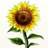 TLMRPB's profile picture. high school teacher,