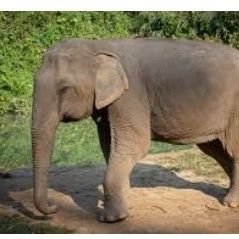 EmmyJavan's profile picture. Imana ni yo nkuru muri byose!