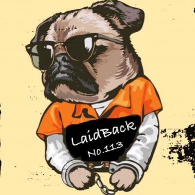 犬、爬虫類、虫、猫…動物のブリーダーです!! ww皆んなで仲良く暮らしてますw🐟🐍🦎🐢🐞🪲🐡🐶🐈🦗