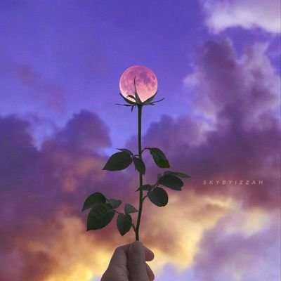 The Prince 👑💍22 ✒English Teacher♤ Egyptian ❥🇪🇬 23 ¥.Ø 👸 libra ♎⚖️ Palestine 🇵🇸🌹 ッ۵❀