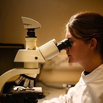 PhD student (finishing 2024) at @thembauk & @OceanEarthUoS working on marine fungi 🍄 Interested in all things microbial/biogeochemical 🦠🌍 Also enjoy 🌊👟🚲⛰️