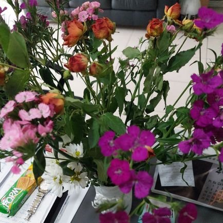 glsn_fr's profile picture. 