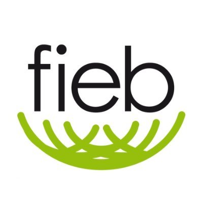 FIEB Foundation