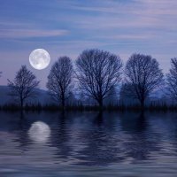 碧乃潤 (@aonojun123) 's Twitter Profile Photo