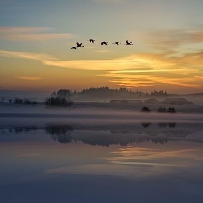 Hothyfh5's profile picture. 