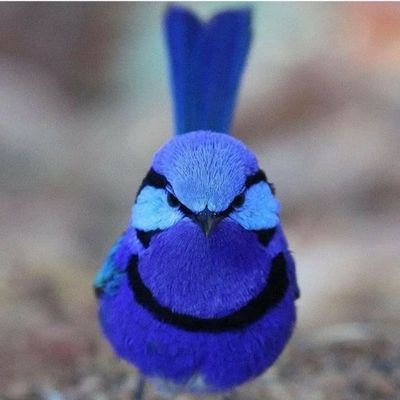 aye_2883's profile picture. Tratando de no ser nadie para descubrir quién soy