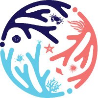 Marine Animal Forest of the World (@maf_world) 's Twitter Profile