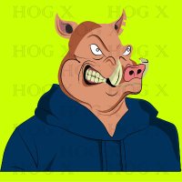 HOG X (@hogxnft) 's Twitter Profile