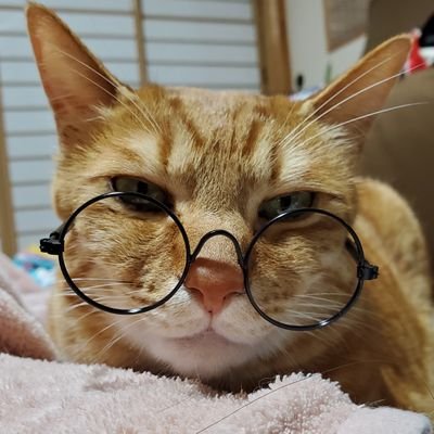 ともさんのプロフィール画像