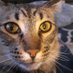 Mom Just Mom (@momjustmom3) Twitter profile photo Mom Just Mom (@momjustmom3) Twitter profile photo