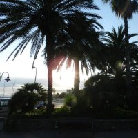 Alin (@alin_patru) 's Twitter Profile Photo Alin (@alin_patru) 's Twitter Profile Photo