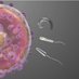 MNBE Research Group (@mnbe_group) Twitter profile photo MNBE Research Group (@mnbe_group) Twitter profile photo