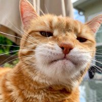 一二三木头人 (@jiff_45) 's Twitter Profile