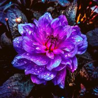 mustfa (@alshimarymustfa) 's Twitter Profile