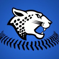 Hilliard Bradley Jaguar Baseball(@HBJagsBaseball) 's Twitter Profileg