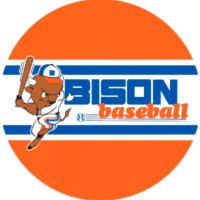 Fenton Bison Baseball (@bisonbase_ball) Twitter profile photo