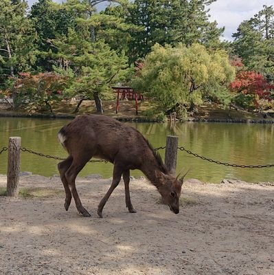 hide_coffee01's profile picture. 麻雀(EX風林火山,水瀬夏海p,水瀬千尋p,和久津晶p,二階堂瑠美p,二階堂亜樹p,さくら美緒p,花宮海咲p,与那城葵p,木下遥p)/漫画(JOJO,天牌,兎)/音楽(HELLOWEEN,LOVEBITES,METALLICA,FrozenCrown,UnluckyMorpheus)/無言フォロー失礼します