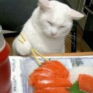 cherry_wv's profile picture. ॐ