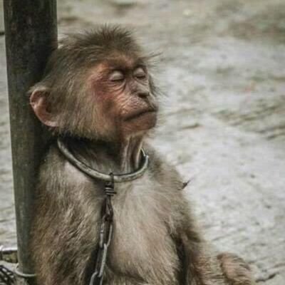 VishwaVairagi's profile picture. 