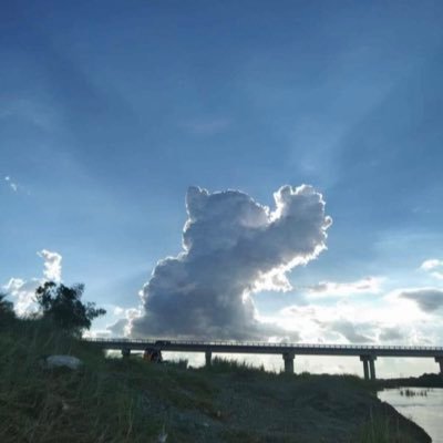 vethnet's profile picture. 