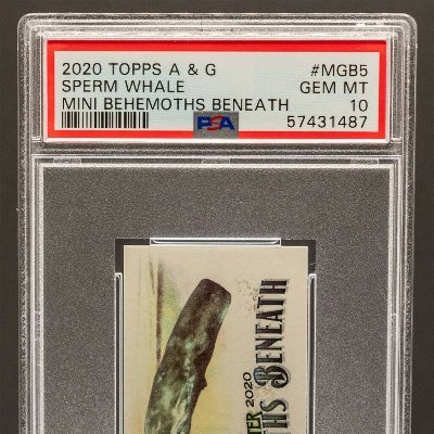 Update: SPERM WHALE PSA 10 IS LIVE!

Goal - find sports cards, pull an awesome card, get card graded, sell card, and not lose $$.