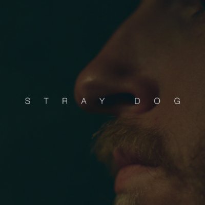 Stray Dog Film