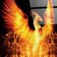 ژوزفین (@im_zhozefin) 's Twitter Profile
