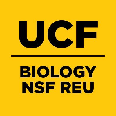 UCFBioREU's profile picture. #NSF-funded Research Experience for Undergraduates at #UCF’s Department of Biology. Conservation, Restoration, and Communication 🐸🐢🦪🌻🌱🧬🐍🐟🌊 🦠🏝🐝🦀🌳🐙
