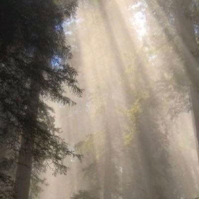 levihansthetic's profile picture. “I’d rather the two of us just live here…right, Levi?”                                           Levihan 🖤