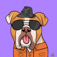 Crypto bulldog (@giusepp01092167) 's Twitter Profile Photo